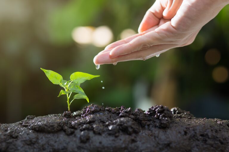 thophilong-soil-8080788